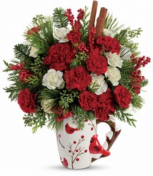 Send a Hug Christmas Cardinal from Fields Flowers in Ashland, KY